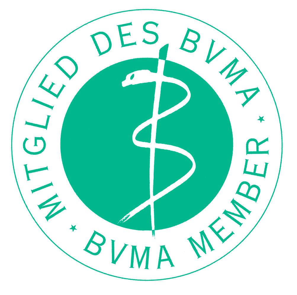 BVMA4c member